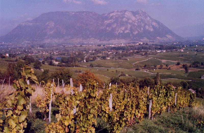 scan20031214_181312