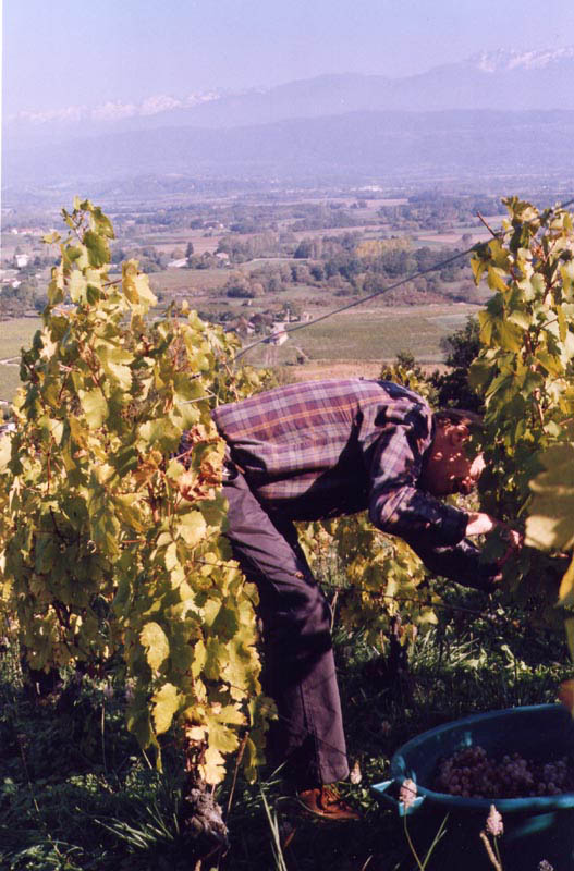 scan20031214_182533